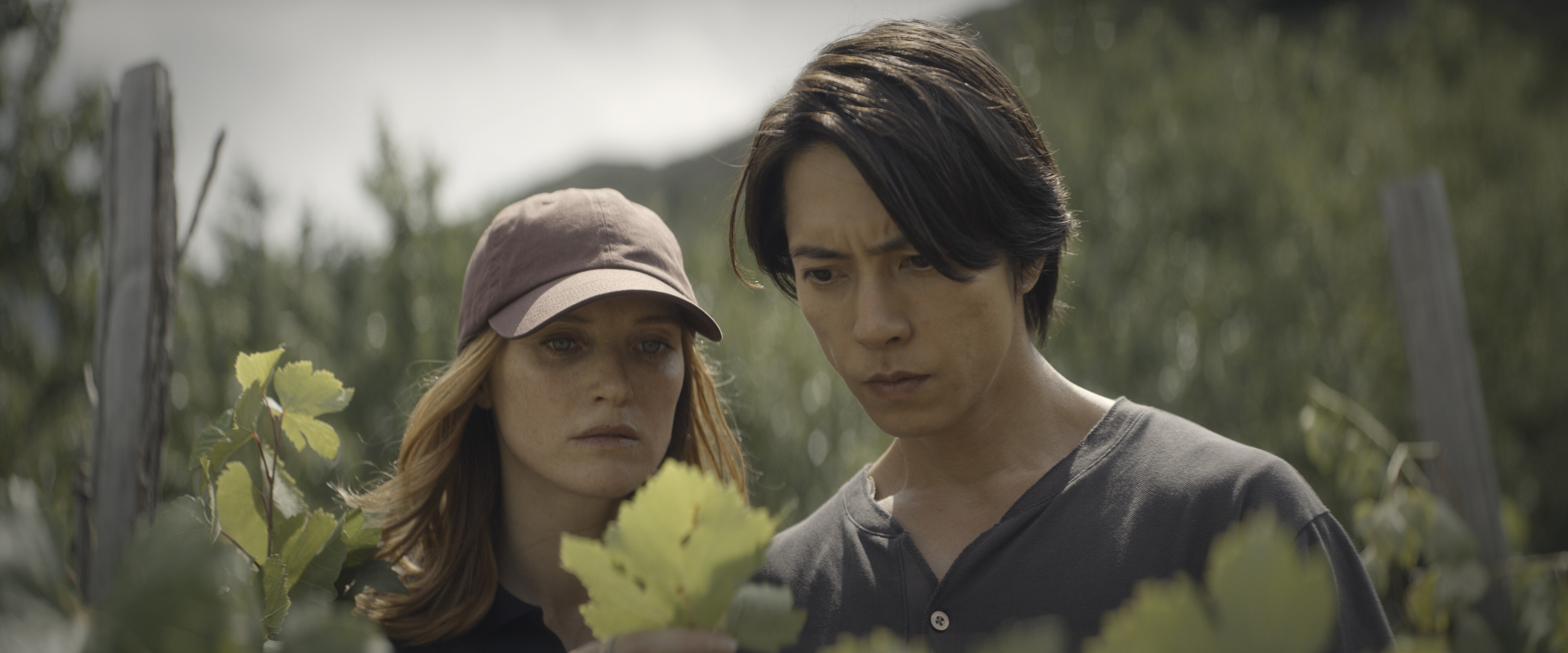 【良品！　神の雫　シーズン2放映中！山下智久　全48巻】 山下智久主演『神の雫』シーズン2、日本版予告＆山P出演シーンカットを
